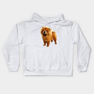 Chow Chow Adorable Puppy Dog Kids Hoodie